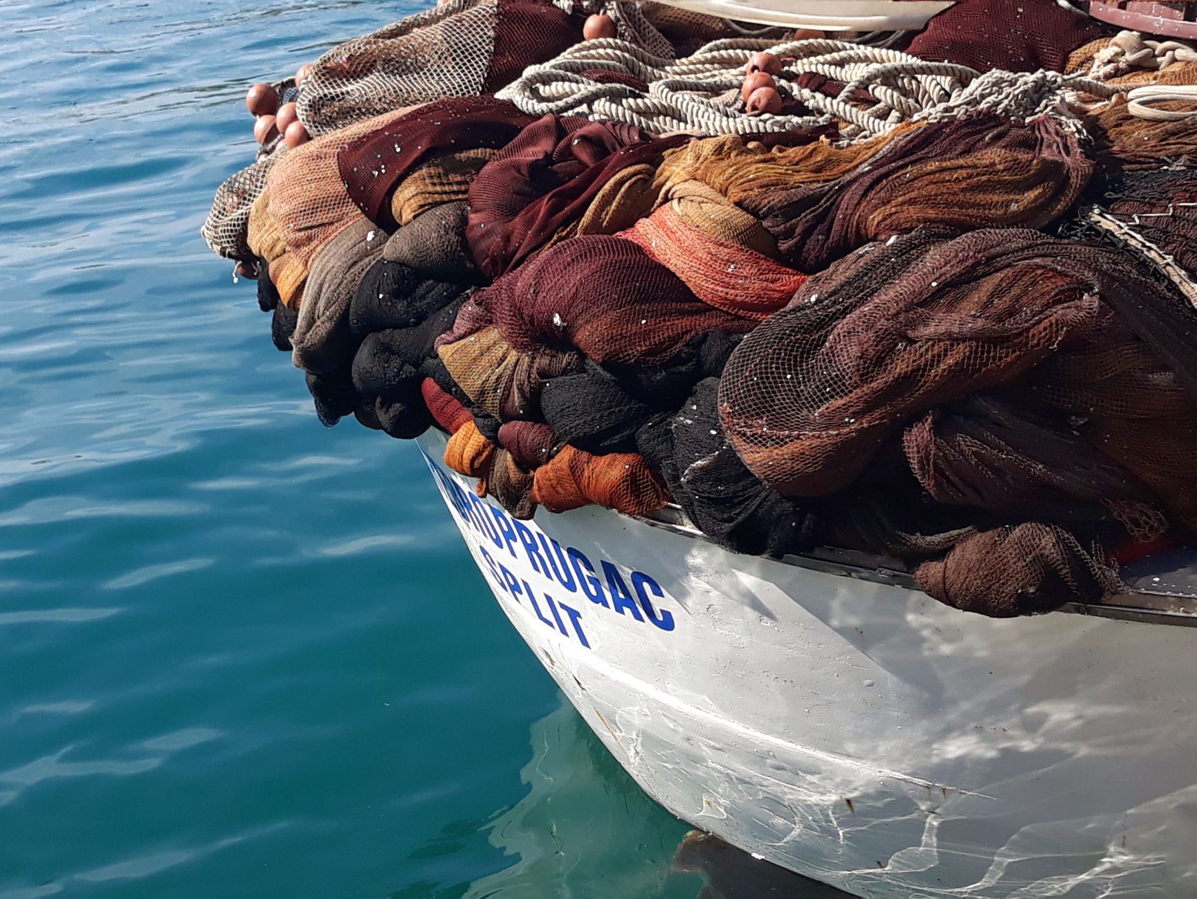 Fisk bliver sorteret på is