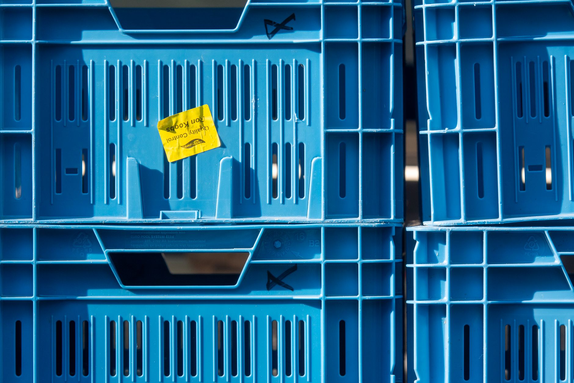 Havet ved Esbjerg